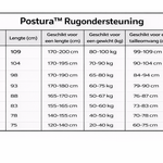Postura™ Back Support 2.0 | Better Posture & All-Day Back Relief