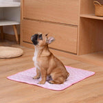 Coolmat™ Cooling Pet Mat | Instant Heat Relief & Travel-Ready Comfort