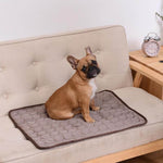 Coolmat™ Cooling Pet Mat | Instant Heat Relief & Travel-Ready Comfort