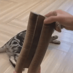 Kattenscratcher™ | Scratch, Play & Relax for Every Cat