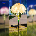 Florora™ Lantern | Solar-Powered Flower Light & Garden Ambiance