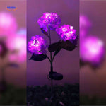 Florora™ Lantern | Solar-Powered Flower Light & Garden Ambiance