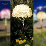 Florora™ Lantern | Solar-Powered Flower Light & Garden Ambiance