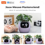 Happy Ivy™ Smart Planter | Automatic Watering & App-Connected Plant Care