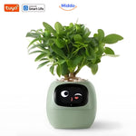 Happy Ivy™ Smart Planter | Automatic Watering & App-Connected Plant Care
