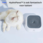 HydroPaws™ Anti-Splash Dog Water Bowl | Dry Floors & Safer Sips