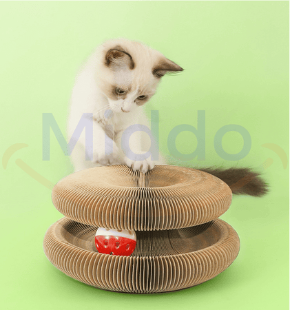 Kat speelt nieuwsgierig op de Kattenscratcher in een groene omgeving