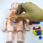 Middo Kids Anatomy Set | Hands-On Science & STEM Learning