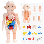 Middo Kids Anatomy Set | Hands-On Science & STEM Learning