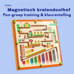 MagnoMaze™ Magnetic Maze Game | Logical Thinking & Fine Motor Skills