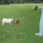 TweeTrek™ Dual Dog Leash | Tangle-Free Walking & LED Safety