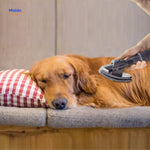 VisiClean™ Pet Hair Brush | Removes Pet Hair Fast & Secure Lock