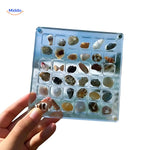 DisplayCase™ | Acrylic Display Case for Seashells & Collectibles