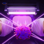 Drylux™ Shoe Dryer | Foldable, Odorless & Steady Heat