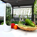 FreshHerbKeeper™ Fridge Herb Container | Keep Cilantro & Parsley Fresh for Weeks
