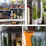 FreshHerbKeeper™ Fridge Herb Container | Keep Cilantro & Parsley Fresh for Weeks