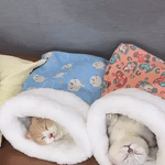 FurHaven™ Cozy Cat Bed | Warm, Sheltered & Snug Hideaway