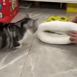 FurHaven™ Cozy Cat Bed | Warm, Sheltered & Snug Hideaway
