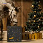 Middo™ Horse Advent Calendar | 24 Days of Treats for Rider & Horse