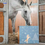 Middo™ Horse Advent Calendar | 24 Days of Treats for Rider & Horse