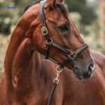 Middo™ Horse Advent Calendar | 24 Days of Treats for Rider & Horse