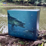 TackleBox™ Advent Calendar | 24 Days of Fishing Gear & Surprises