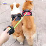 TwinTails™ EasyWalk | 2-in-1 Retractable Dual Dog Leash & Tangle-Free Control