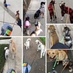 TwinTails™ EasyWalk | 2-in-1 Retractable Dual Dog Leash & Tangle-Free Control