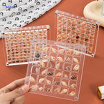 DisplayCase™ | Acrylic Display Case for Seashells & Collectibles