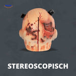 Zombiora™ Mask | Realistic, Breathable & Built for Halloween